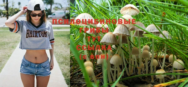 шишки Богородск