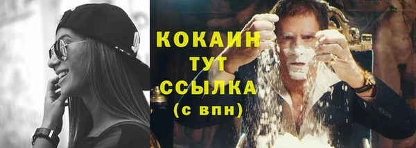винт Богданович