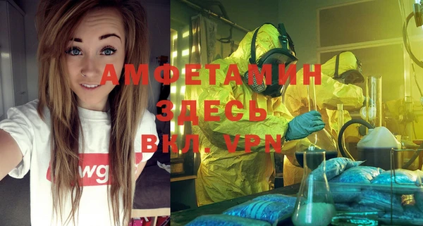 шишки Богородск