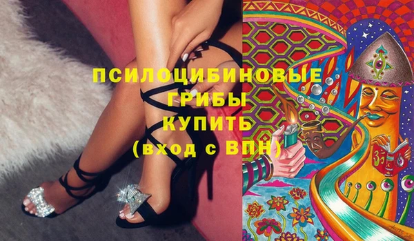 шишки Богородск