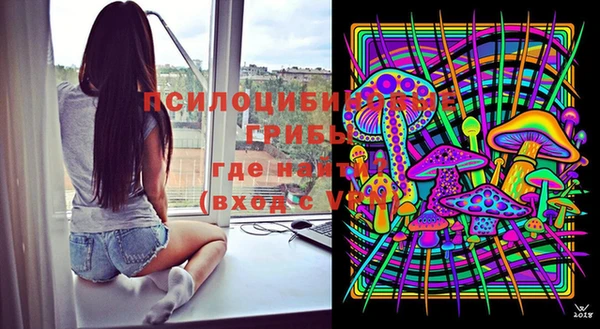 шишки Богородск