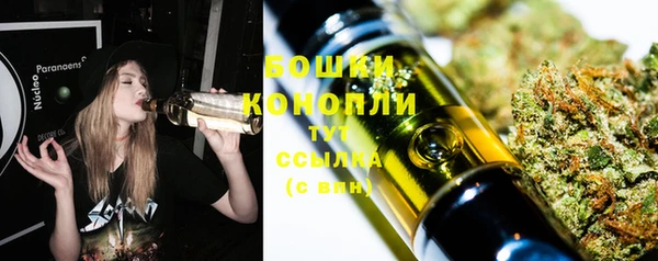 2c-b Богородицк