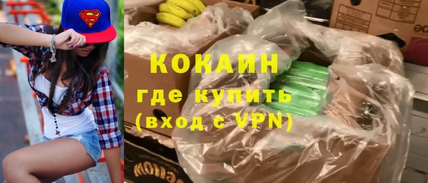 шишки Богородск