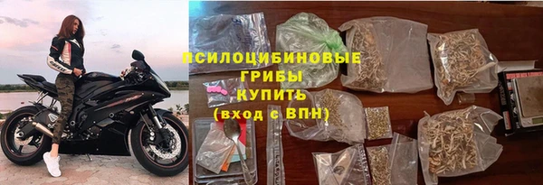 2c-b Богородицк